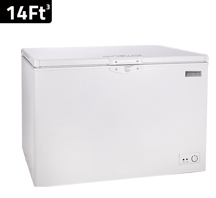 FRZ-316 Chest Freezer